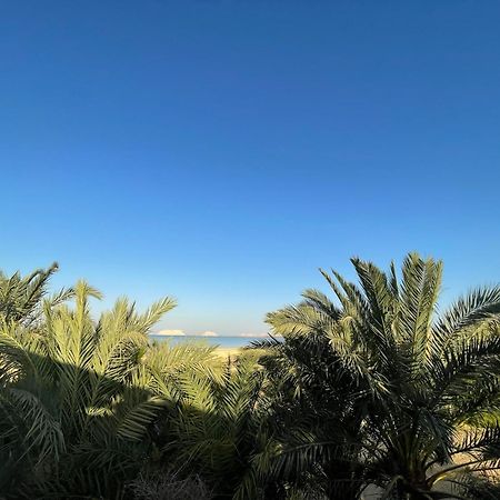 Отель The Nest Siwa Oasis Экстерьер фото