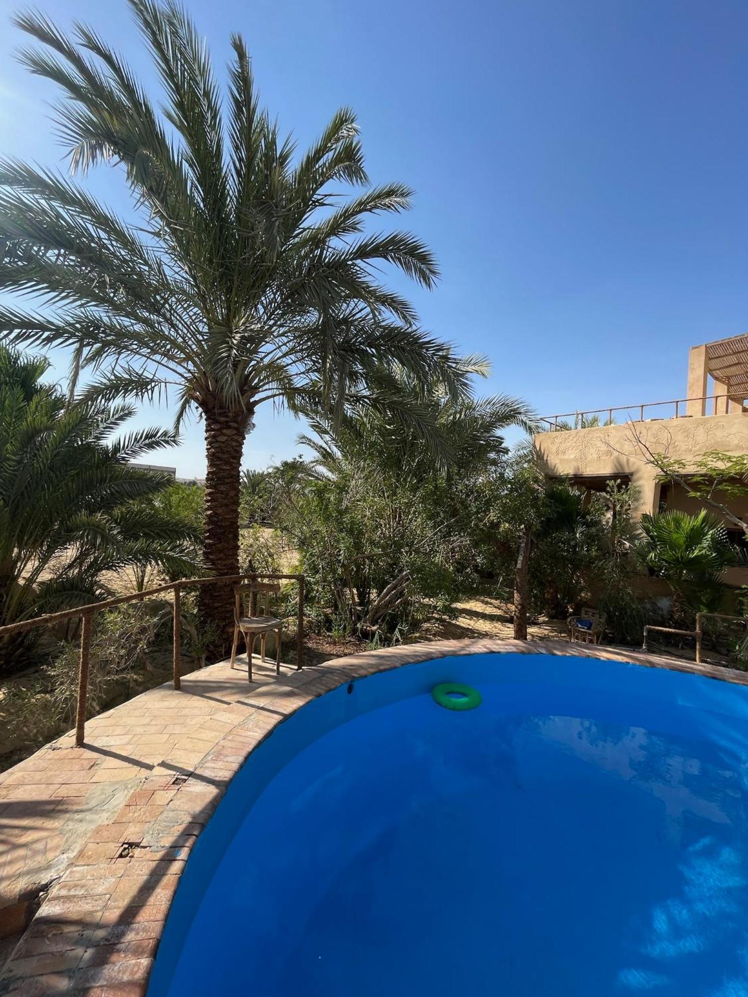 Отель The Nest Siwa Oasis Экстерьер фото