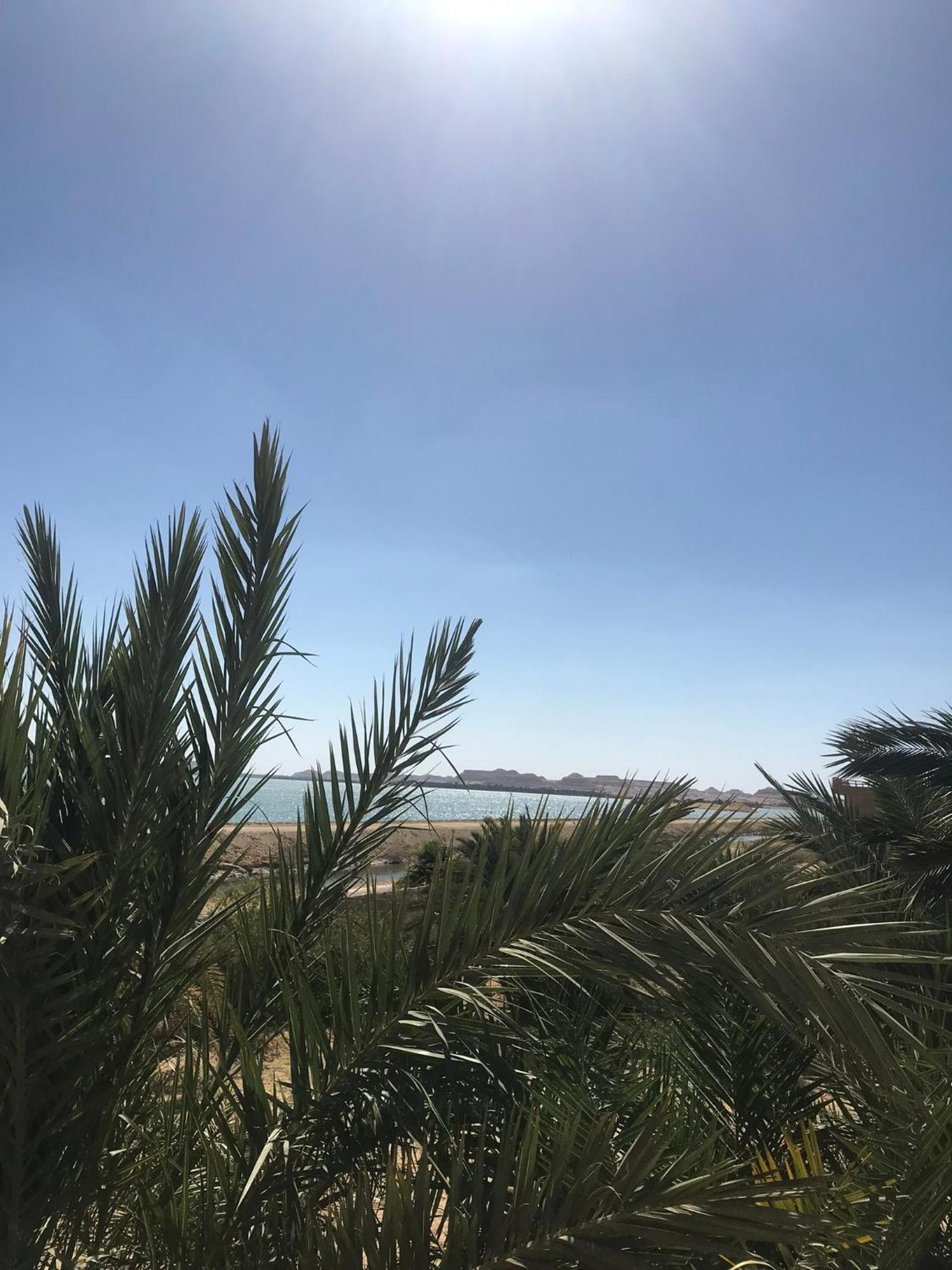 Отель The Nest Siwa Oasis Экстерьер фото