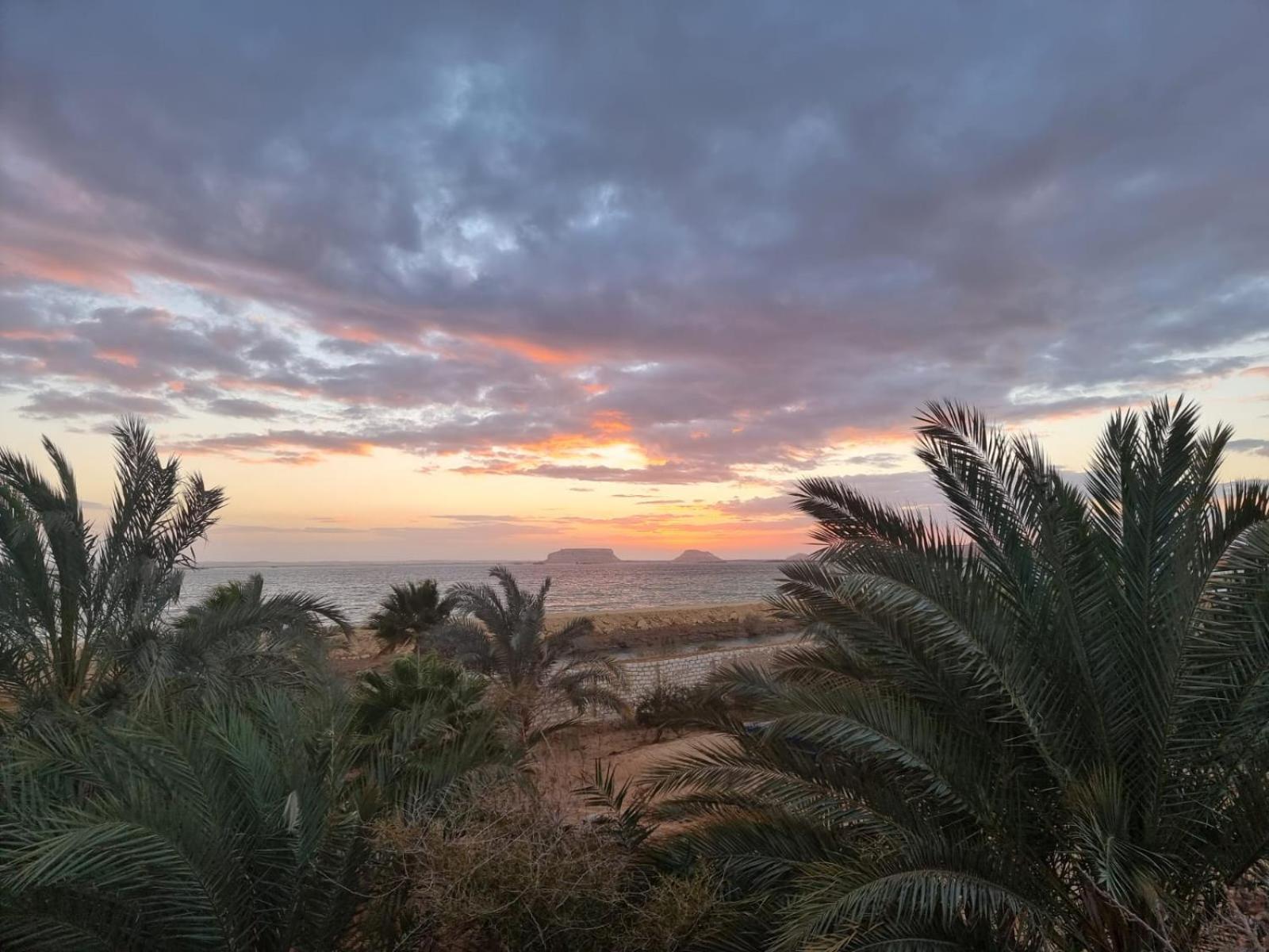 Отель The Nest Siwa Oasis Экстерьер фото