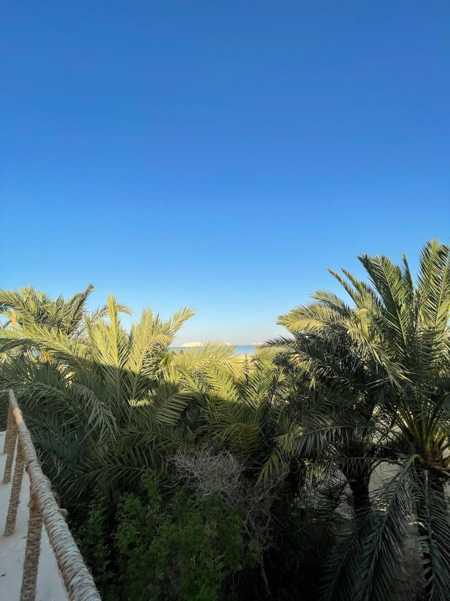 Отель The Nest Siwa Oasis Экстерьер фото
