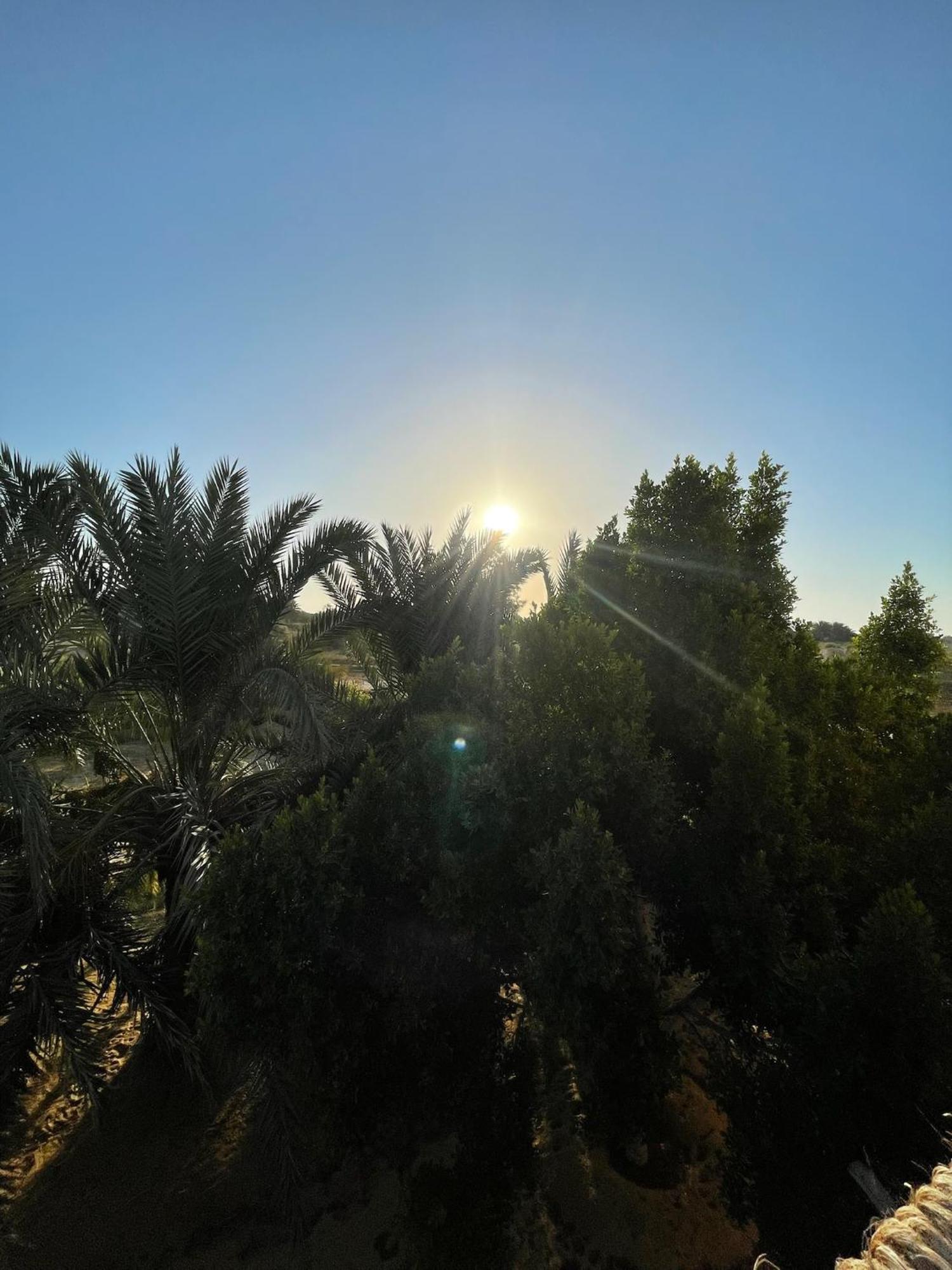Отель The Nest Siwa Oasis Экстерьер фото
