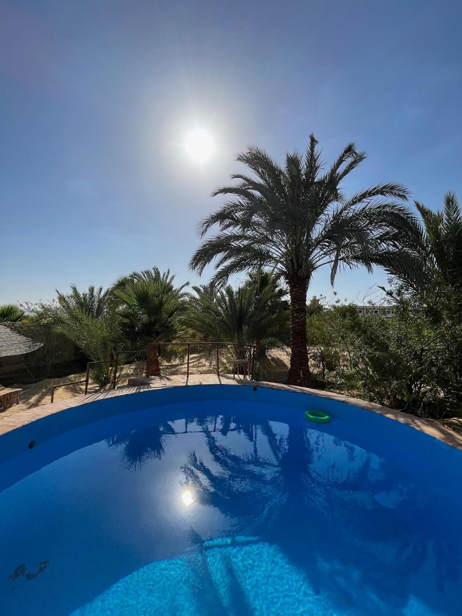Отель The Nest Siwa Oasis Экстерьер фото