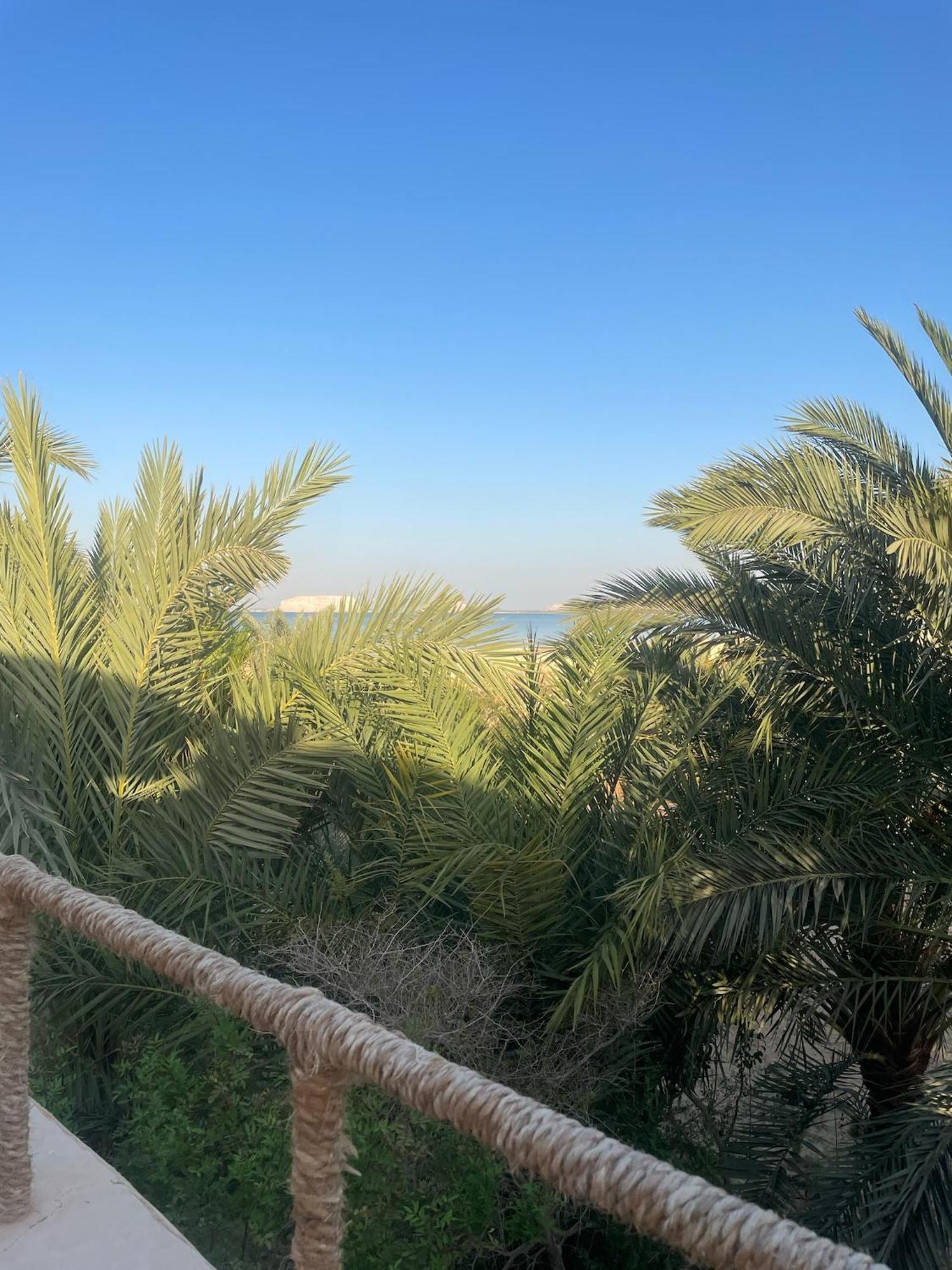 Отель The Nest Siwa Oasis Экстерьер фото