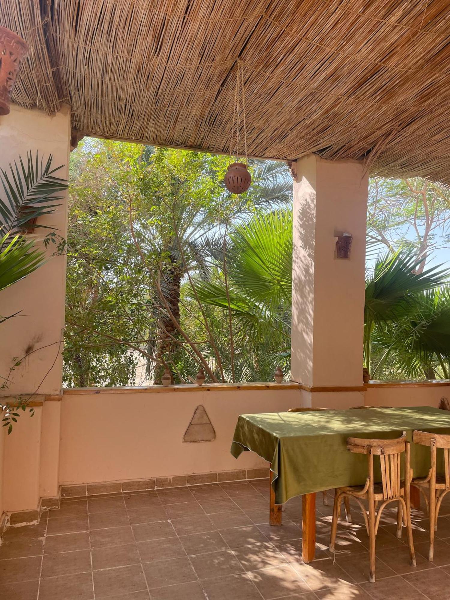 Отель The Nest Siwa Oasis Экстерьер фото