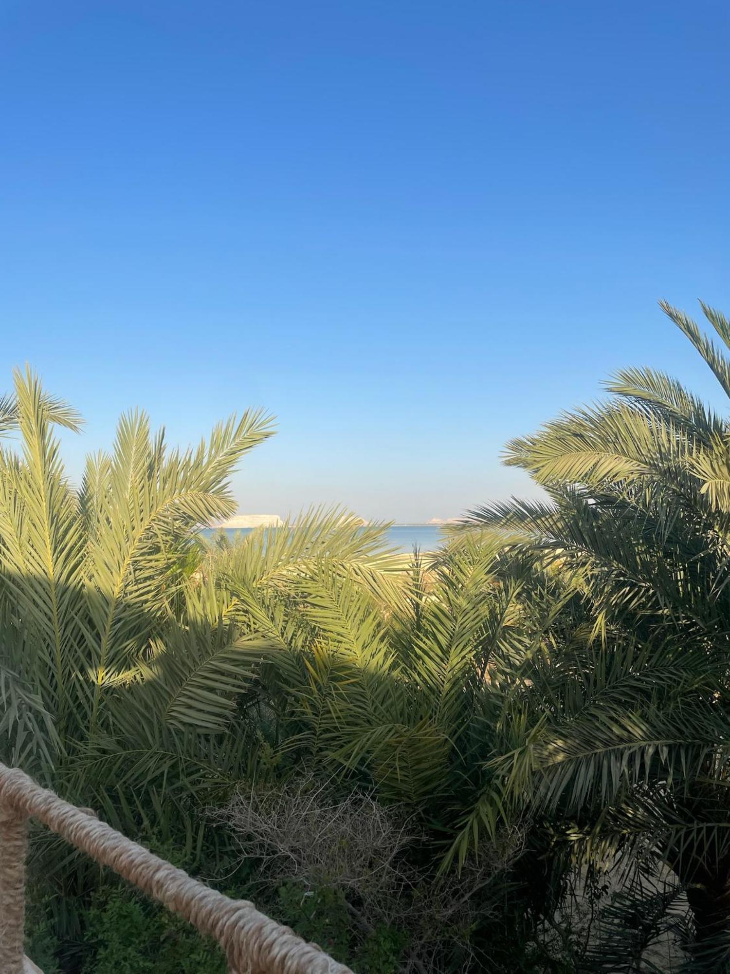 Отель The Nest Siwa Oasis Экстерьер фото